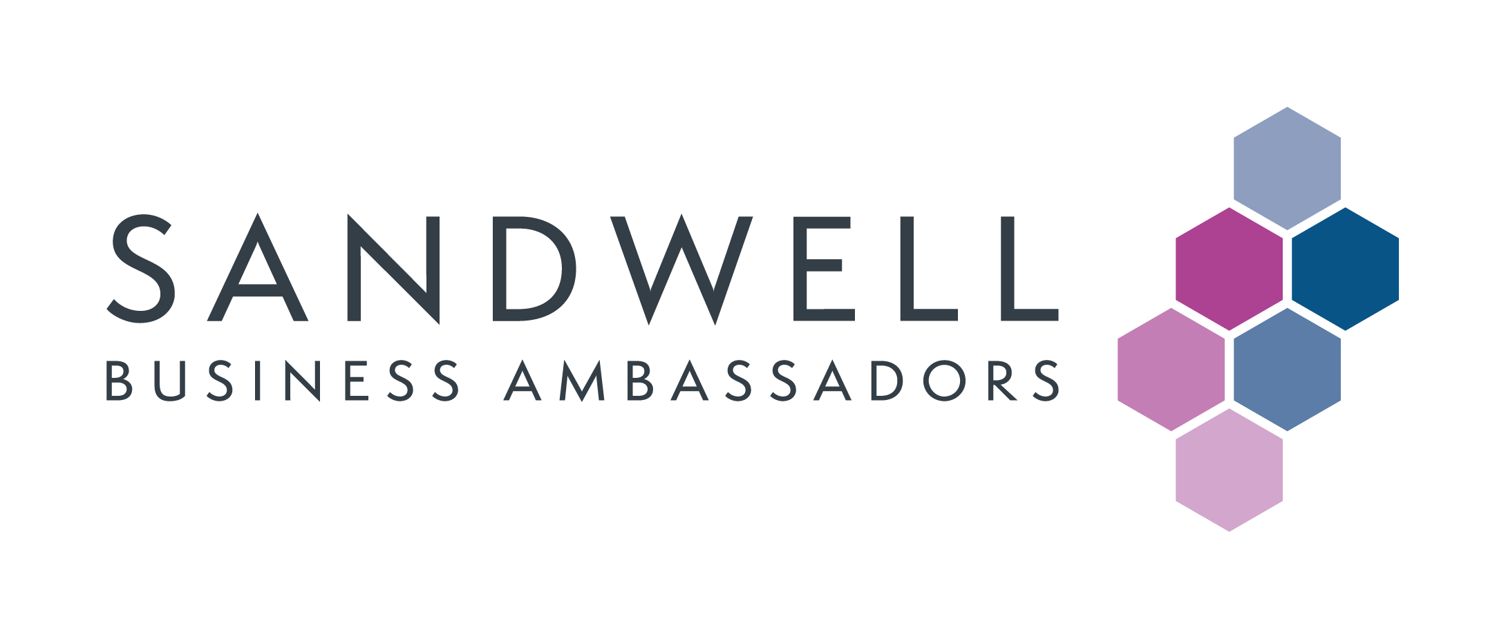 Sandwell Business Ambassadors